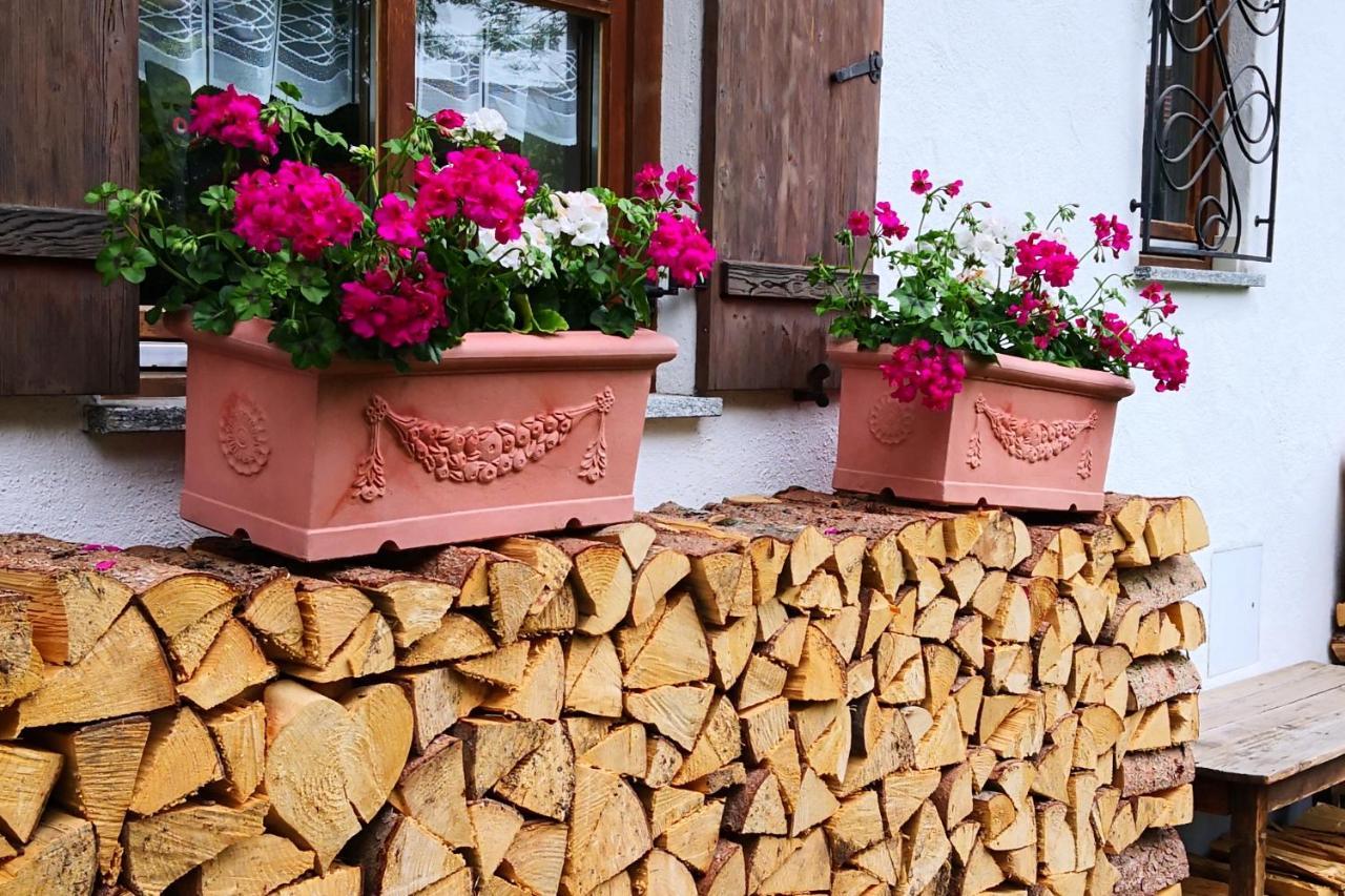 Haus Bullachberg Schwangau Extérieur photo